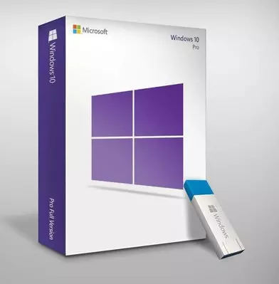 Windows 10 Pro