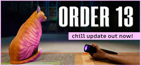 ORDER 13